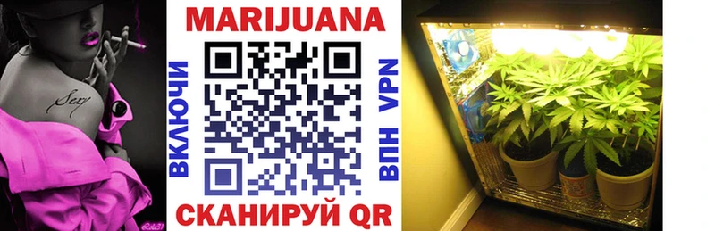 где найти   Плавск  Канабис сатива 